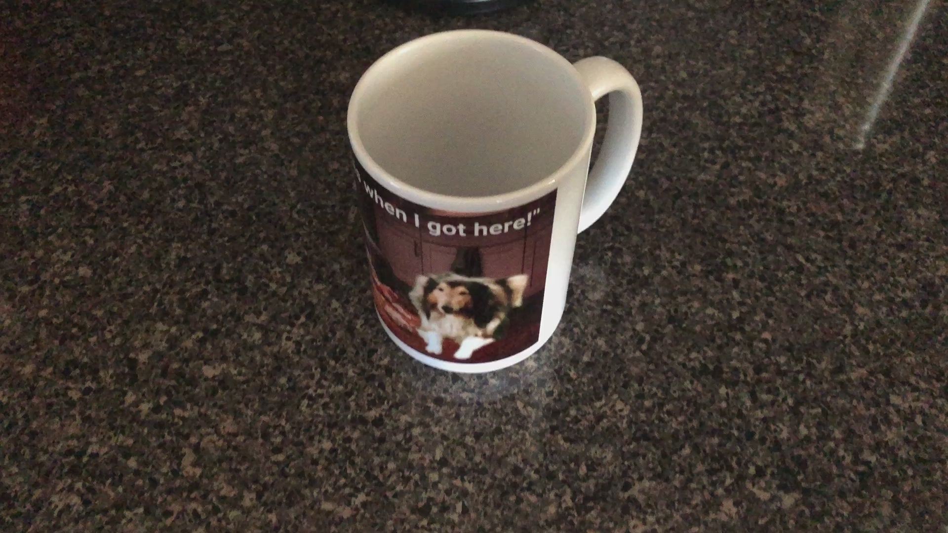 Funny Pet Coffee Mugs